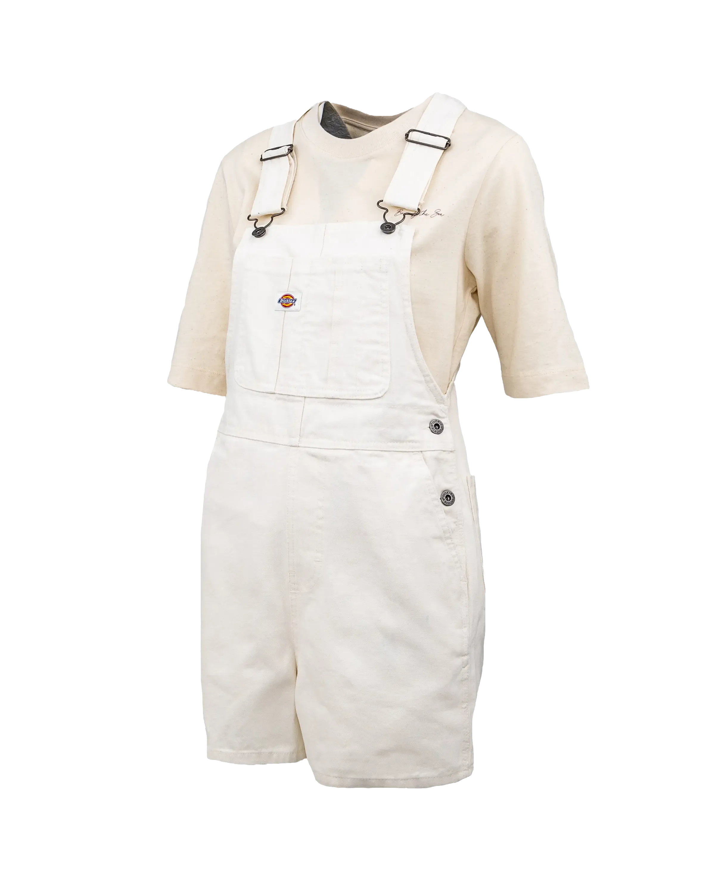 Dickies Duck Canvas Latzshorts in Cloud