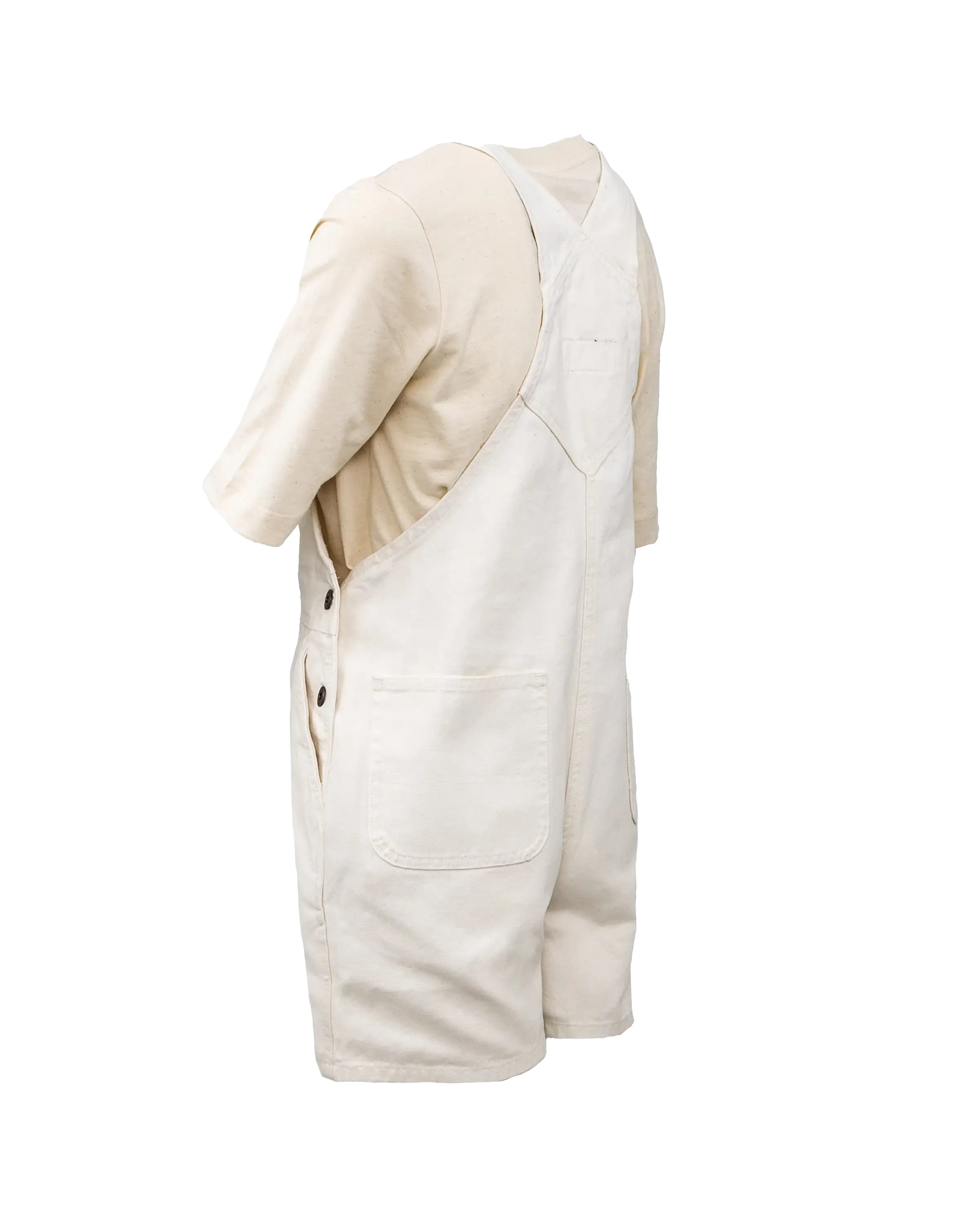 Dickies Duck Canvas Latzshorts in Cloud