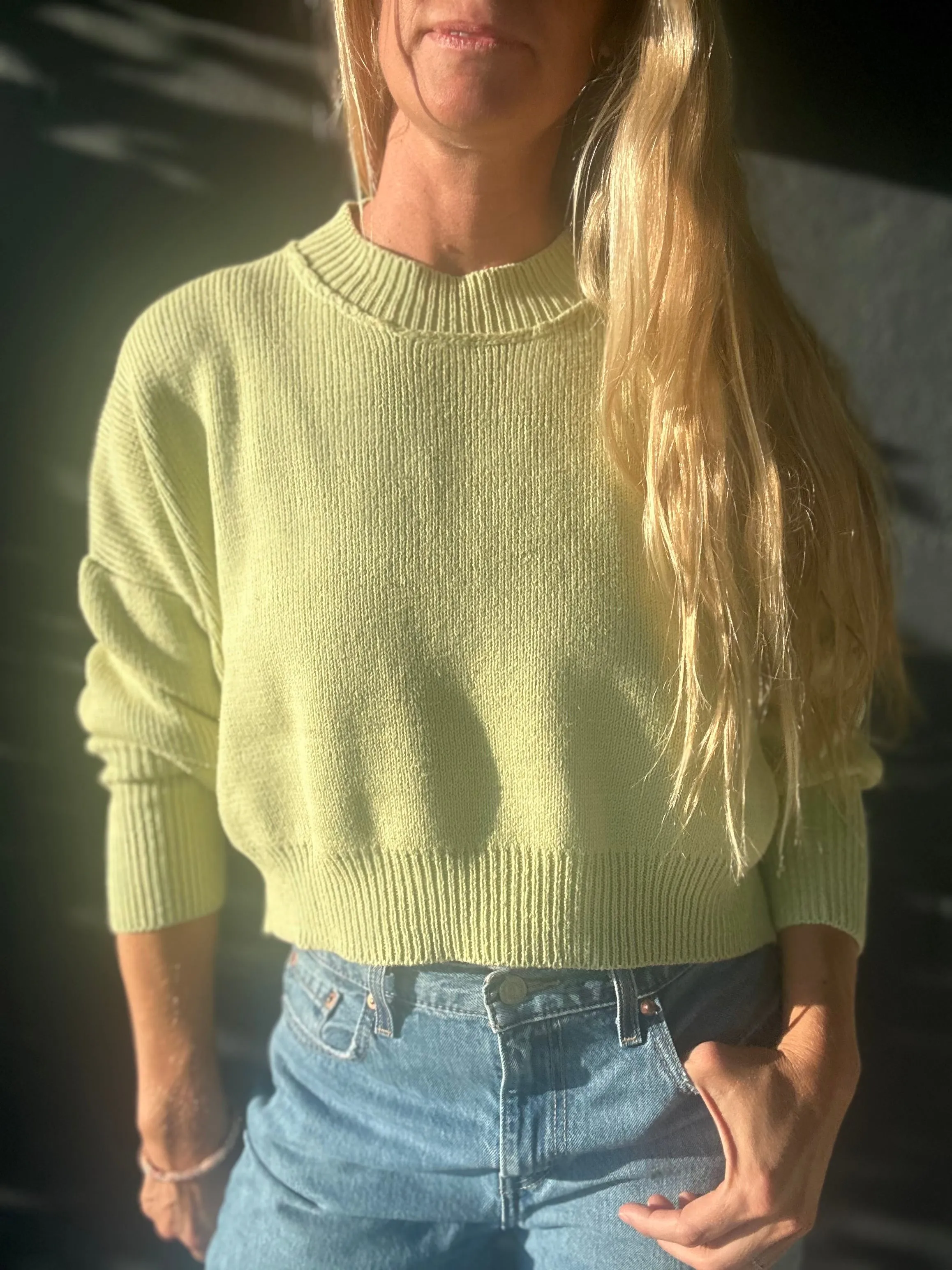 Macha Lilacs Crop-Pullover