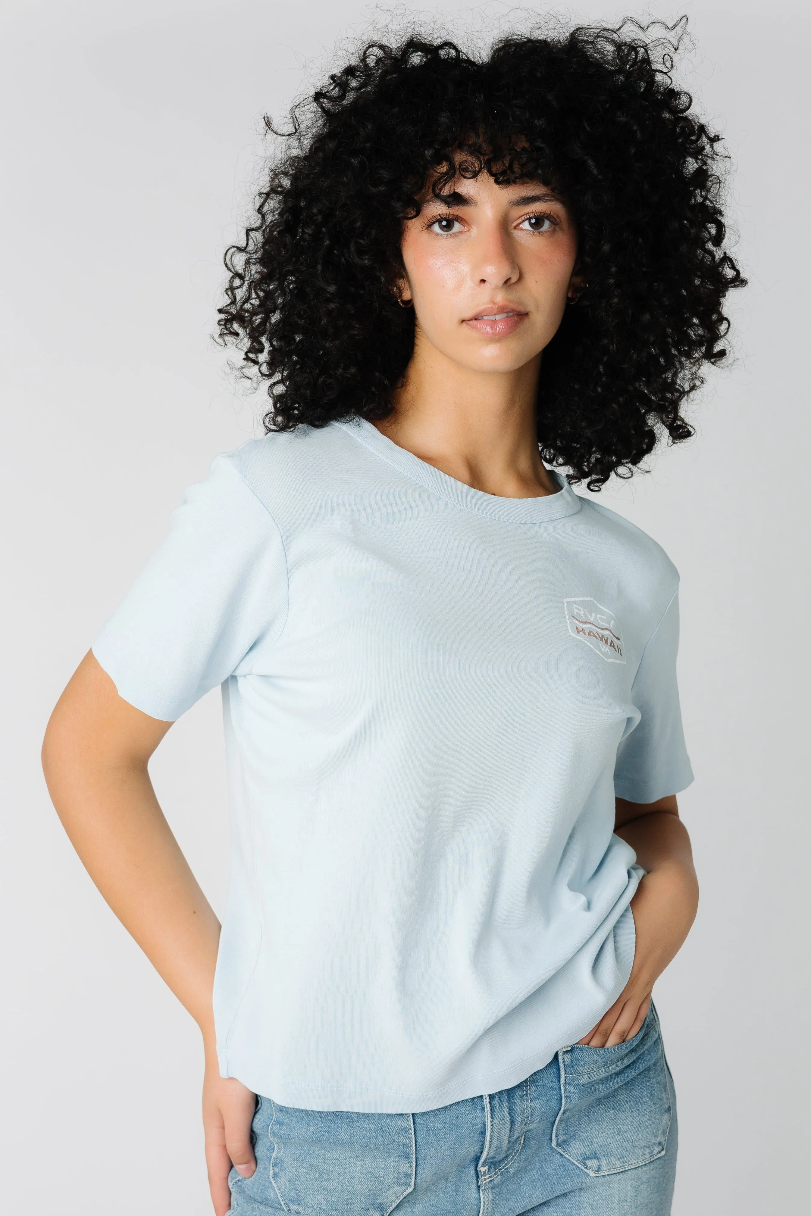 RVCA Palm Shield T-Shirt
