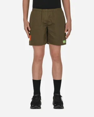 Wasser Shorts Grün